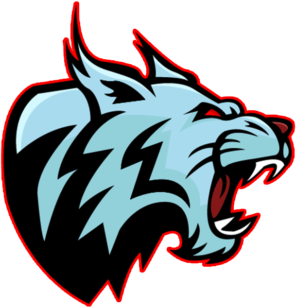 team_logo